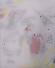 campin diagraph layers