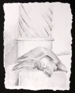 postcard_gaudi turtle