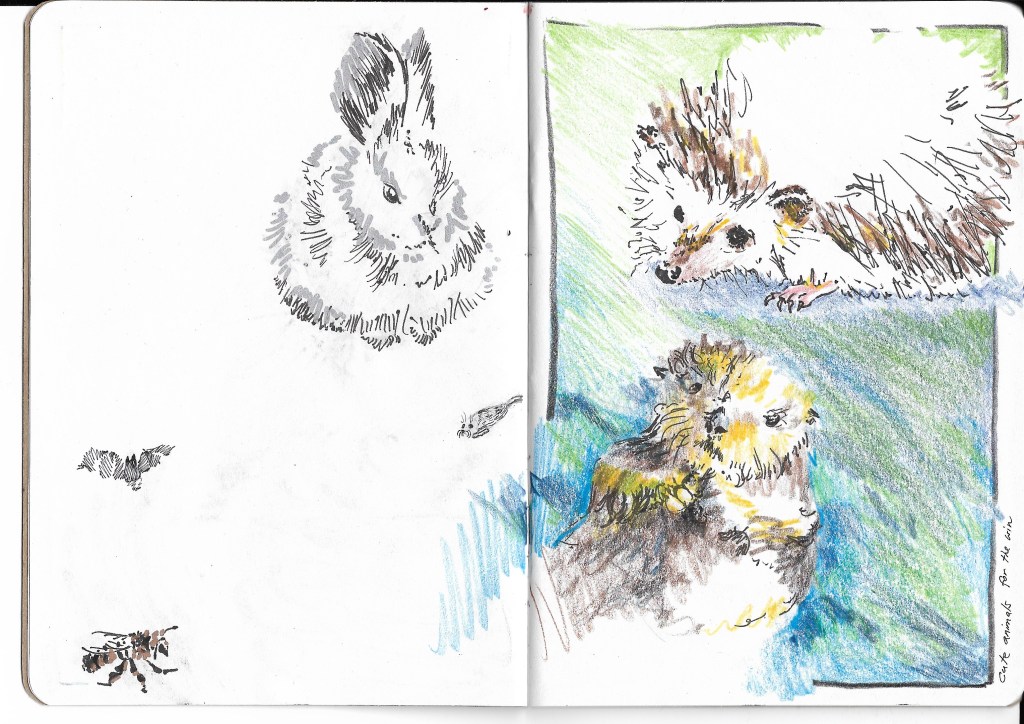 Sketchbook project 2018