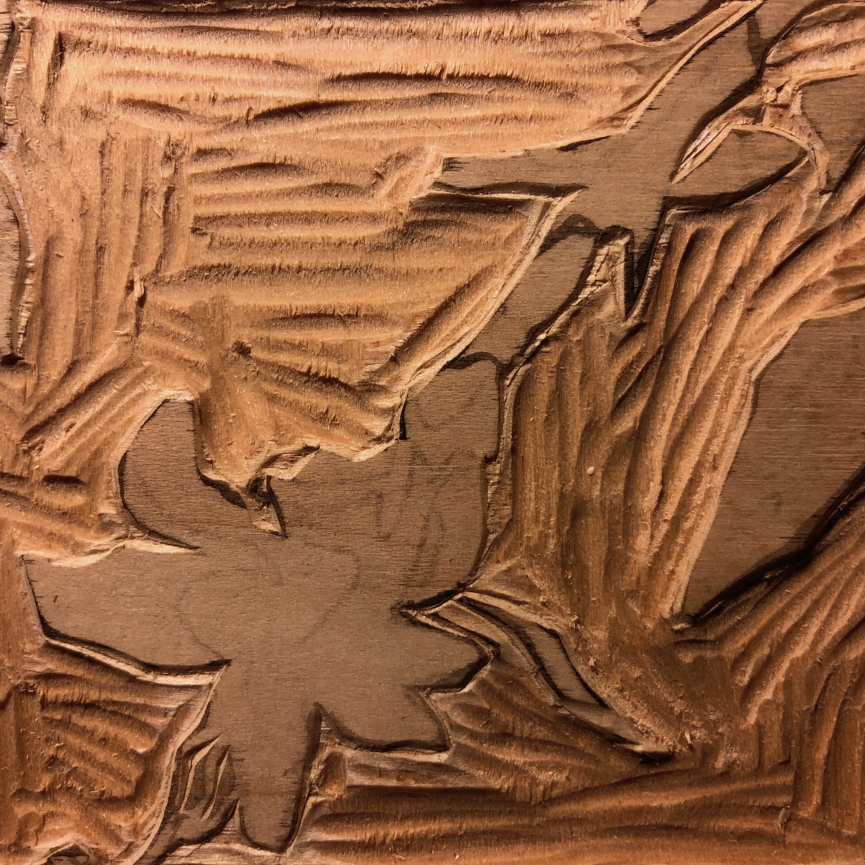 wampole_schlumberga matrix.jpg